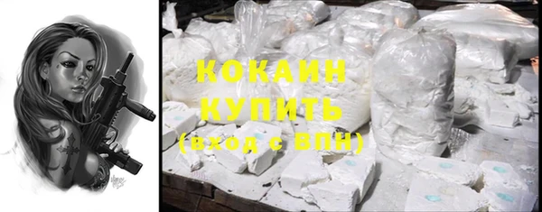 шишки Богородицк
