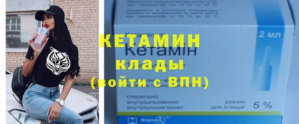 шишки Богородицк