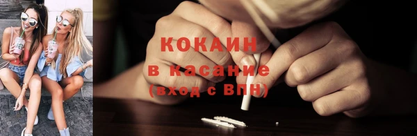 шишки Богородицк