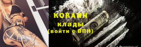 шишки Богородицк